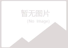 碌曲县字迹司机有限公司